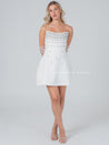 Starlight Mini Dress - Aurisélla London