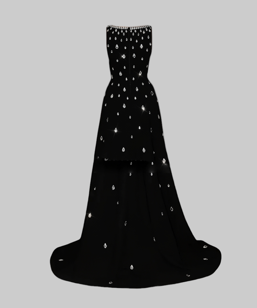 Astral Embellished Gown